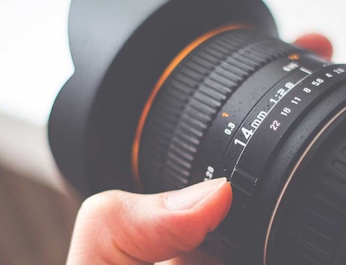 Vestibulum hendrerit risus viverra malesuada